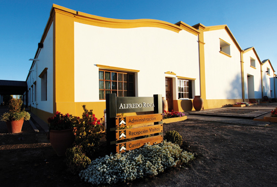 Bodega Alfredo Roca