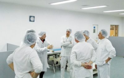 Programa de Pausas Activas de SMG ART y BIOGENESIS BAGO