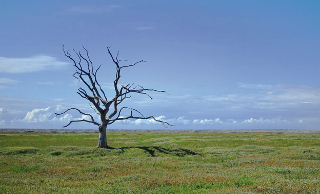 La sequía impulsa la creación de un nuevo seguro paramétrico