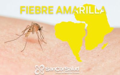 Concientización de SanCor Salud sobre fiebre amarilla