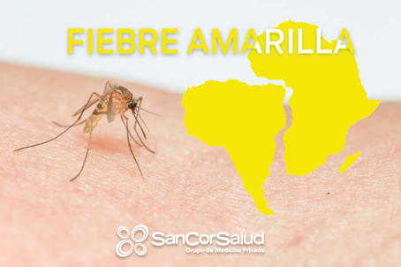 Concientización de SanCor Salud sobre fiebre amarilla