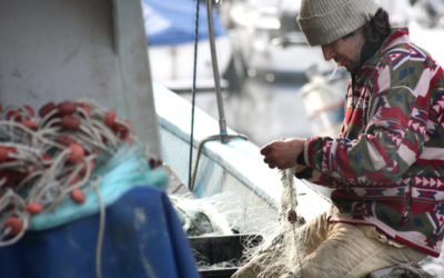 La Corte Suprema de Justicia pone freno a un nuevo absurdo pericial
