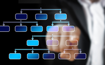 Las Sociedades PAS deben informar su estructura societaria