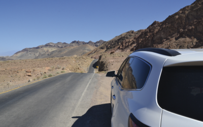 Consejos de Allianz para disfrutar un viaje seguro