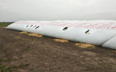Silo bolsa: cómo proteger al gran aliado del productor agropecuario, por Grupo Asegurador La Segunda