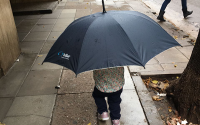 InSur transformando realidades