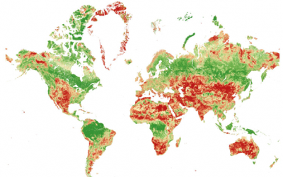 Una quinta parte de los países de todo el mundo en riesgo de colapso de los ecosistemas a medida que disminuye la biodiversidad, según el índice Swiss Re BES