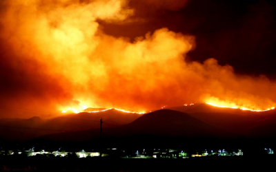Ondas de COVID-19: ¿Qué preocupa a los líderes empresariales para la próxima década?