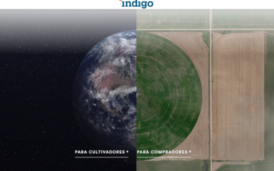 Llega “Indigo Ag Finance” para revolucionar el financiamiento de la agricultura 4.0