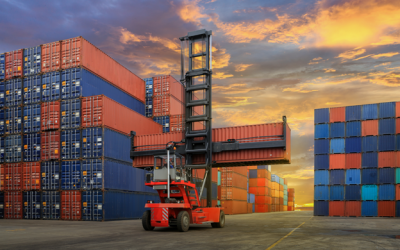 Pólizas Aduaneras: Perspectivas 2021