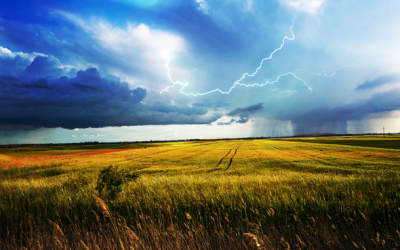 Frente al cambio climático, ADIRA impulsa un seguro multirriesgo para proteger al productor