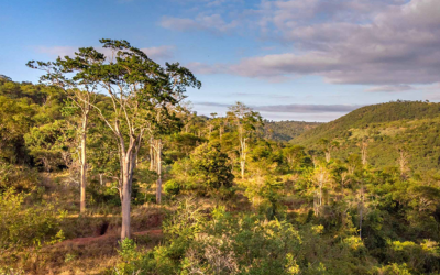 Zurich sponsor del Bloomberg Green Virtual Summit