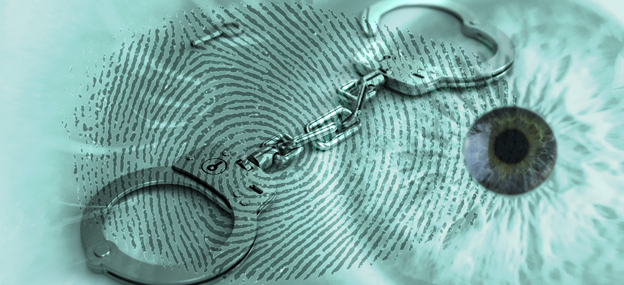 fraude en seguros 2