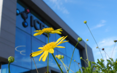 Convenio radicación de Investigadoras/es de Fundación Grupo Sancor Seguros (FGSS)