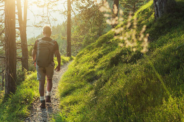 La biodiversidad y los beneficios para la salud humana según Swiss Re Institute