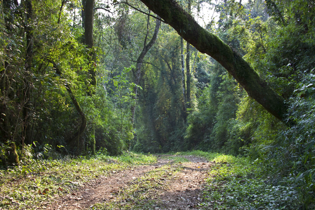 Zurich apoya a Fundación Vida Silvestre Argentina para conservar y proteger la Reserva de Vida Silvestre “Urugua-í” en Misiones
