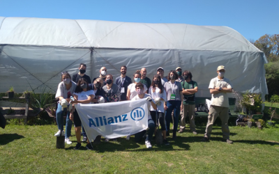Empleados de Allianz plantaron 100 árboles nativos en la Reserva Ecológica Costanera Sur