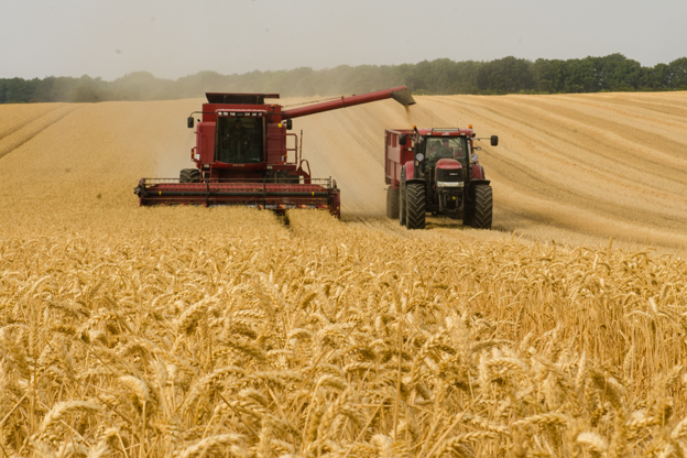 El campo aumenta su participación en el mercado asegurador