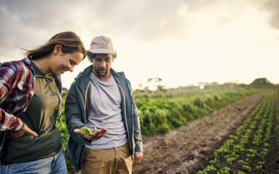 Seguros SURA y AgroPro se aliaron para brindar más y mejores soluciones a los productores argentinos