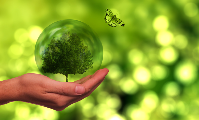 sustentabilidad 2