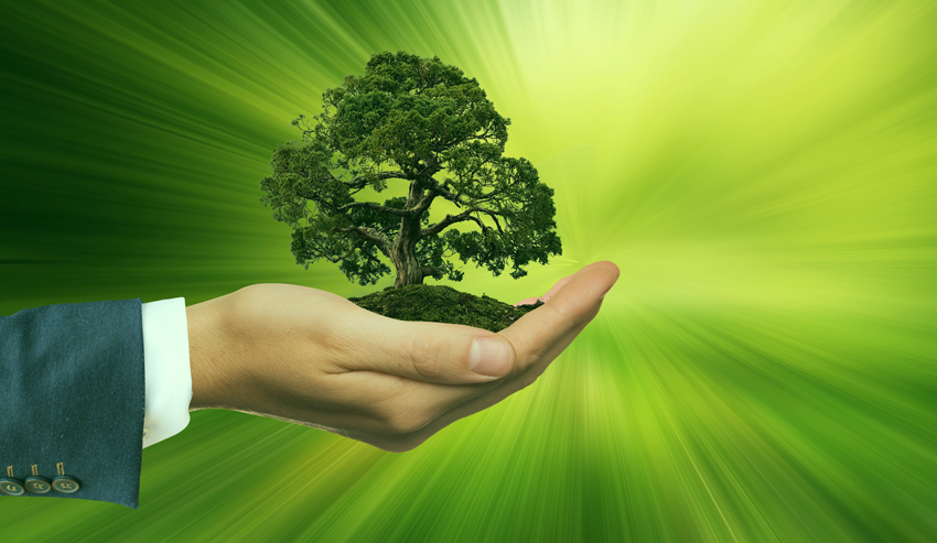 sustentabilidad 3