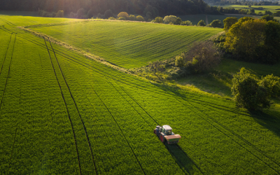 Alerta por la degradación del suelo: las claves para una agricultura sustentable