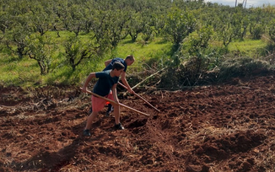 Allianz apadrina el proyecto “De la Huerta a la Cocina” de la Asociación Civil APAER