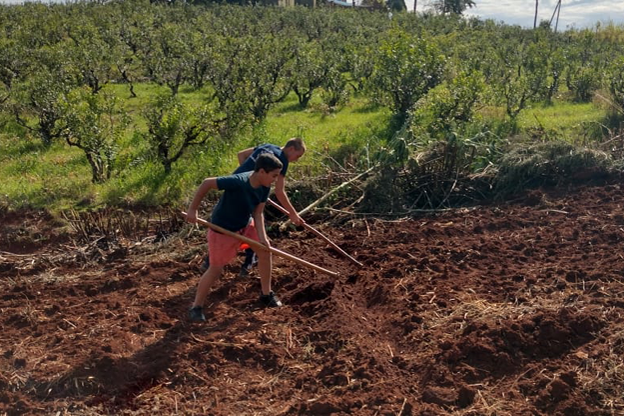 Allianz apadrina el proyecto “De la Huerta a la Cocina” de la Asociación Civil APAER