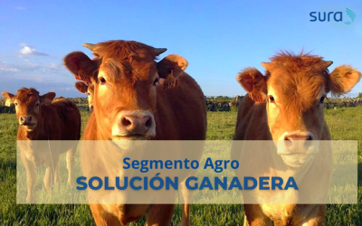 Seguros SURA lanza una solución innovadora para el sector ganadero