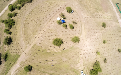 RUS junto a BAUM contribuyeron a la reforestación de algarrobos en Río Ceballos
