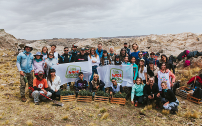 Grupo San Cristóbal concreta una alianza para plantar árboles nativos en las Sierras de Córdoba