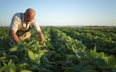 Vuelve Experto Agro, el programa de Seguros SURA que potencia a los productores de seguros y su competitividad