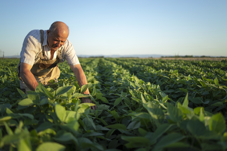 Vuelve Experto Agro, el programa de Seguros SURA que potencia a los productores de seguros y su competitividad