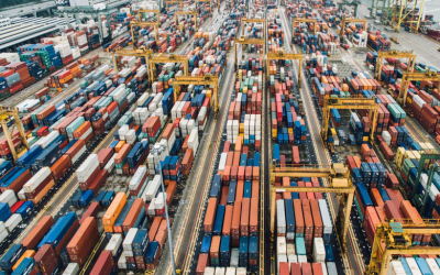 Afianzadora y Seguros de Caución Aduaneros 2023