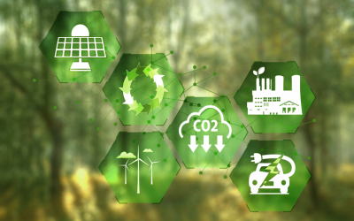 Allianz Argentina midió su huella de carbono 2022 y busca alcanzar la neutralidad en carbono para el 2030