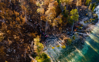 BBVA Seguros se une a ReforestARG en la misión de salvar los bosques nativos de la Patagonia
