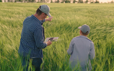 Más soluciones digitales para los productores en Agroactiva: Finanzas y coberturas de seguro 100% online