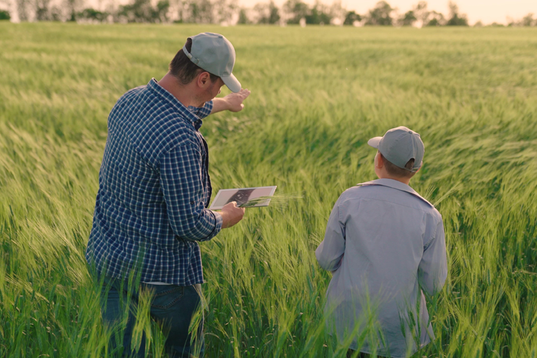 Más soluciones digitales para los productores en Agroactiva: Finanzas y coberturas de seguro 100% online