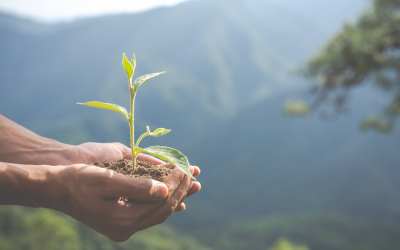 La naturaleza en estado de emergencia: ¿qué estamos haciendo frente a esta situación?