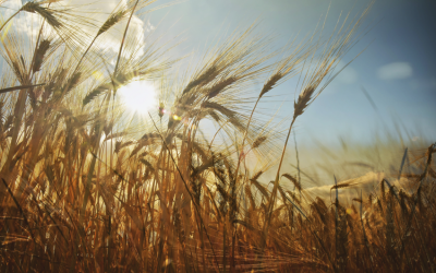 Marsh brinda opciones para cubrirse ante los riesgos asociados al regreso de La Niña