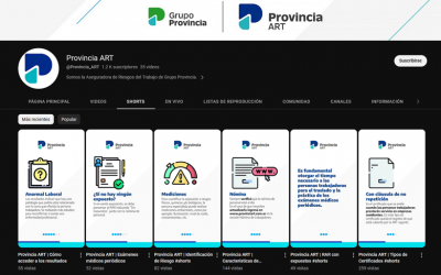 Provincia ART lanzó sus Shorts de Youtube
