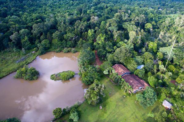 Bosque San Cristóbal, un nuevo pulmón para el planeta