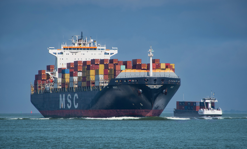 seguro de marine 3