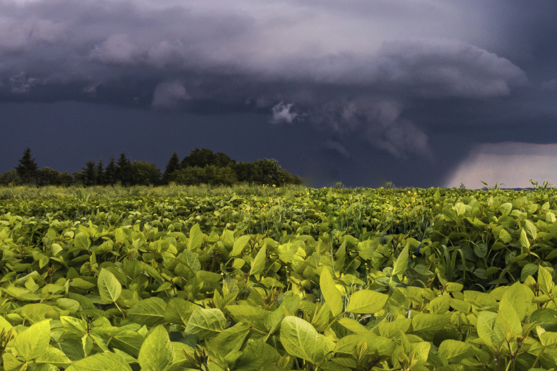 Arranca la campaña gruesa con mejores expectativas climáticas
