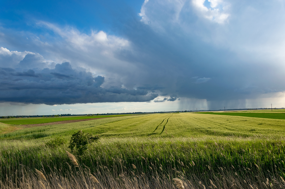 Manejando la incertidumbre climática en Seguros para el Agro