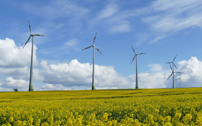 Cambio climático y energía eólica: Vientos de cambio