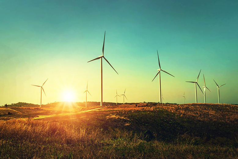 Nación Seguros presentó los avances en su política de sostenibilidad: menor consumo energético y disminución de la huella de carbono