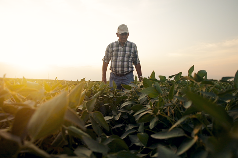 Campaña gruesa: con el cambio climático el productor busca protegerse en una compañía 100% confiable