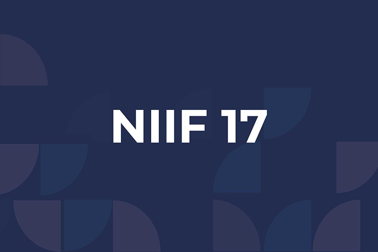 La SSN organizó el Taller de la Norma Internacional de Información Financiera 17 (NIIF 17)