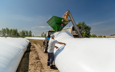 Silo bolsas: innovación en almacenamiento con respaldo asegurado
